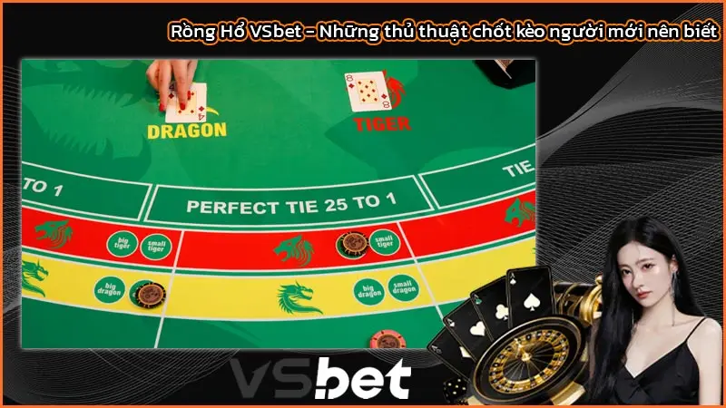 Rồng Hổ VSbet - Những thủ thuật chốt kèo người mới nên biết